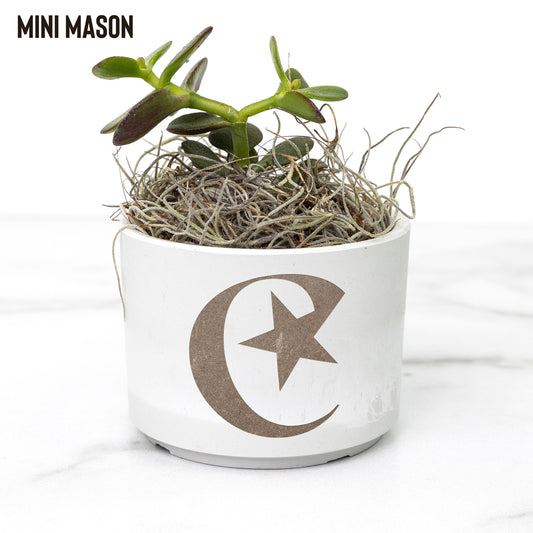 Test Plant