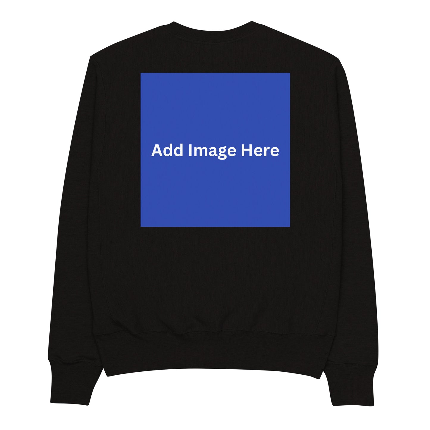 Back Image | Champion Sweatshirt Blank